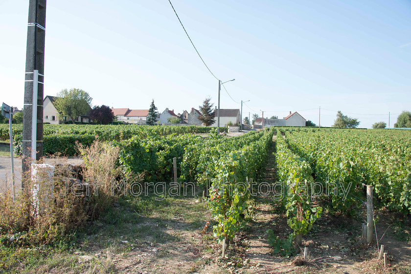 Saone-Rhone-2018-(14-of-125)