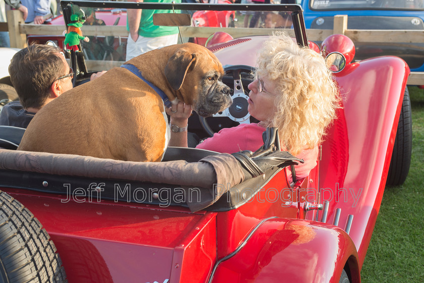 Bosworth Rally (49 of 62)